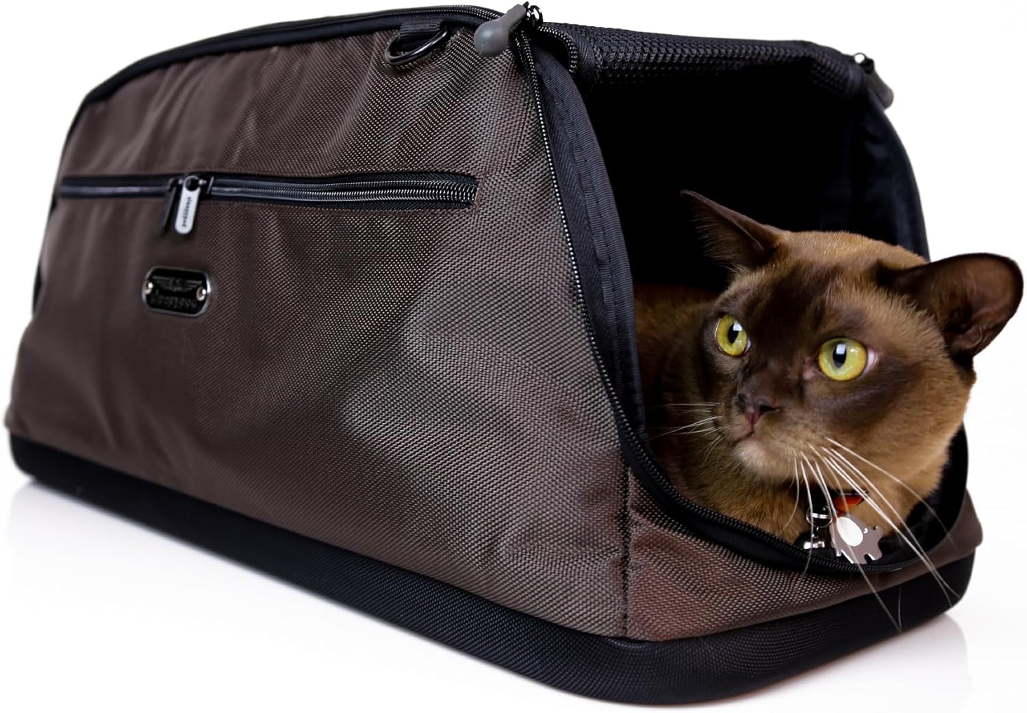 Beautiful view of Traveling With Anxious Cats To New Homes