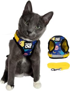 Travelcat